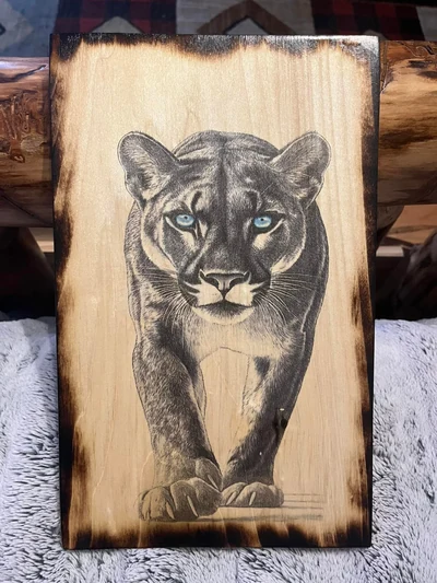 Mountain lion with blue eyes on a light wood panel with darkened edges